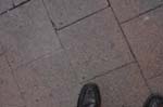 MJL010912 293