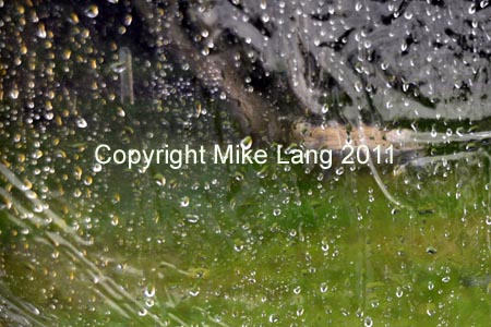 MJL070811_SUNDAY 167